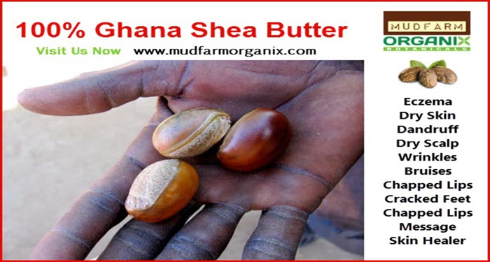 Shea Butter For Sale in The USA